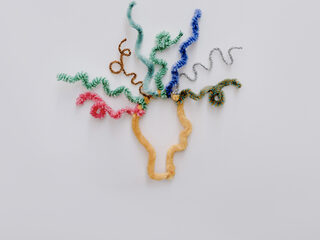 Wat moet je weten over het krijgen van een psychose?