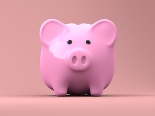 Het mensbeeld van de homo economicus is achterhaald
