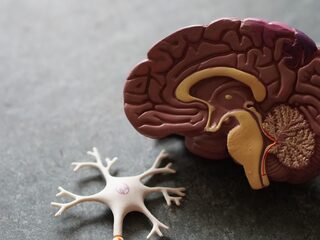 Neurowetenschapper Rick Wassing hackt je brein terwijl je slaapt