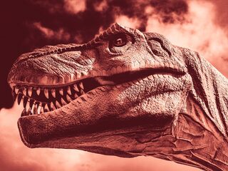 Zo kun jij de volgende Tyrannosaurus rex ontdekken