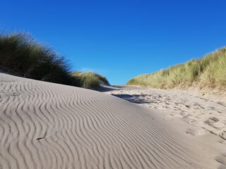 PFAS in Nederlandse duinen: wat betekent dat voor onze strandvakantie?