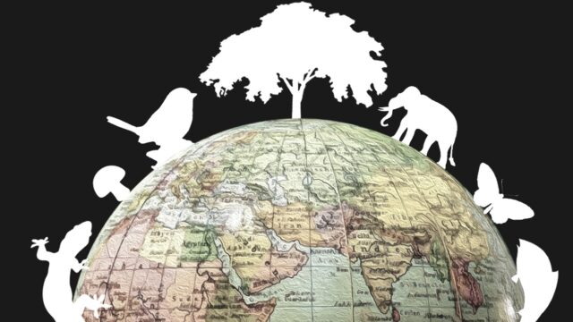 Biodiversiteitstop kan belangrijk akkoord opleveren