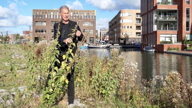 Amsterdam heeft eigen regels gemaakt om meer planten te beschermen