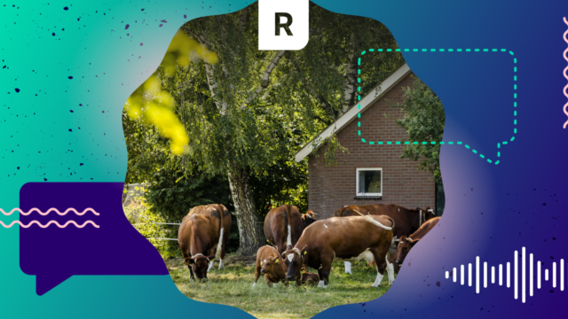 Pointer Regio: het Gelderse stikstofdebat