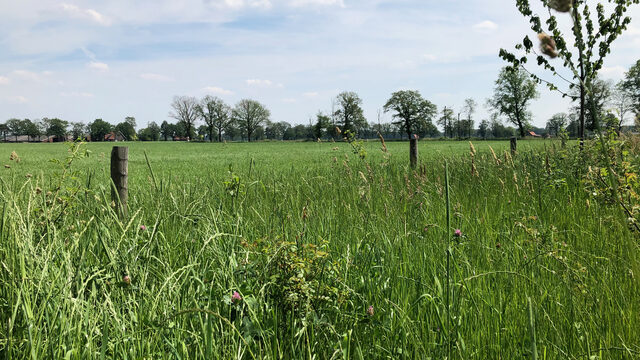 Berkelland maakt einde aan ‘landjepik’