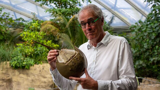 Govert Schilling duikt in de oorsprong van de mens. 'Het wemelt onder onze voeten van de onontdekte schatten'