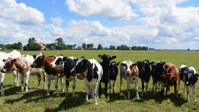 Boeren niet onteigenen, maar sámen landbouwgrond beheren