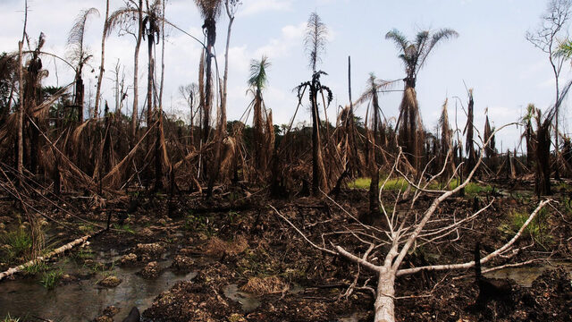 De rechtszaak van vier Nigeriaanse weduwen tegen Shell: 27 jaar strijd voor gerechtigheid