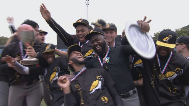 Honkballers Amsterdam pakken landstitel in Holland Series