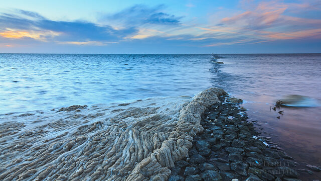 Stroomkabel dwars door meest biodiverse stuk Waddenzee gepland