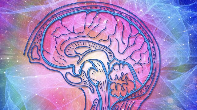 Ontrafelen we het menselijk bewustzijn met psychedelica?
