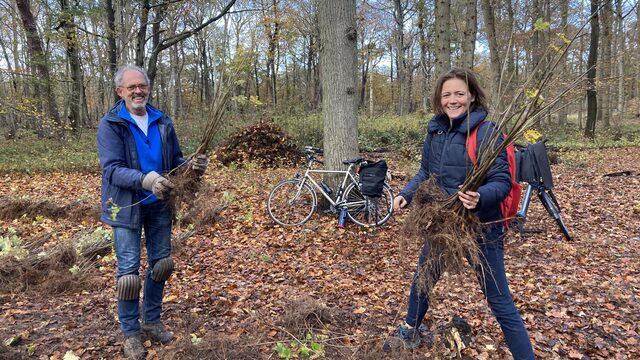 Biodiversiteit herstellen door bomen te verplanten: doe mee aan de Doneer-een-Zaailing-Dag