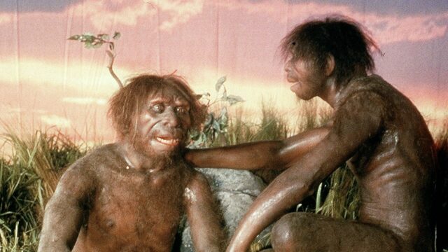 Een nieuwe blik op de wereld van Homo erectus