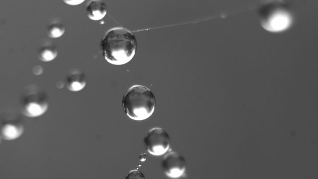 Water maken uit lucht: het kan!