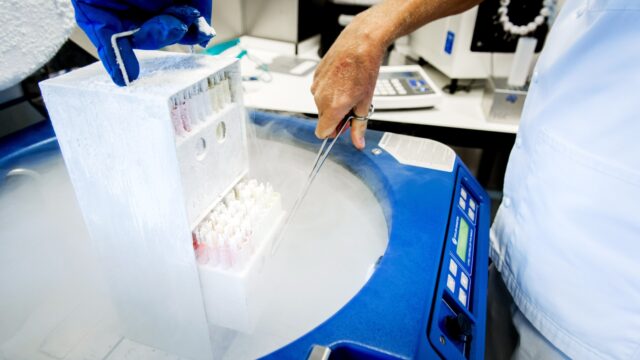 Misstanden bij de spermabanken: 'Weten wie je ouders zijn, is een kinderrecht'