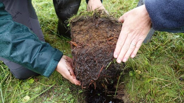 Tuinliefhebbers opgelet: koop turfvrije potgrond!