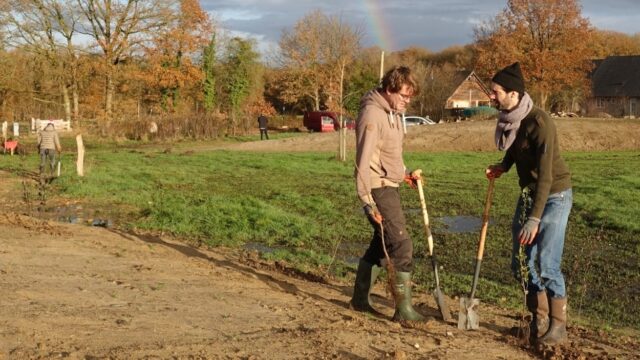 Help de natuur, plant struiken!