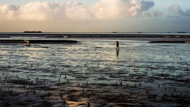Mens is afhankelijk van de Waddenzee, is te zien in 'Silence of the Tides'