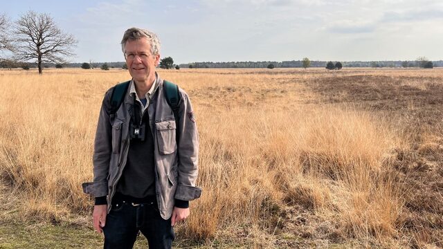Megastal bij Kampina funest voor natuur