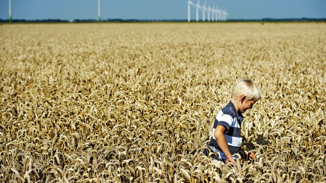 Hongersnood door oorlog Oekraïne ook voor ons 'dichterbij dan je denkt'