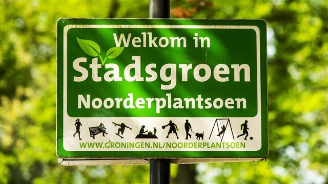 Stand.nl: 'We moeten miljarden investeren in vergroening van de steden'