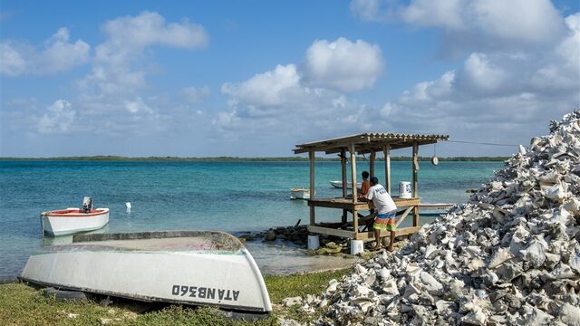 Klimaatverandering op de Caribische eilanden: 'Het kan nu al de levens van mensen diep raken'