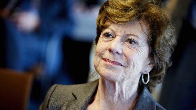 Sms'jes Neelie Kroes zijn 'ernstige inbreuk op wat je kan toelaten in een democratie'