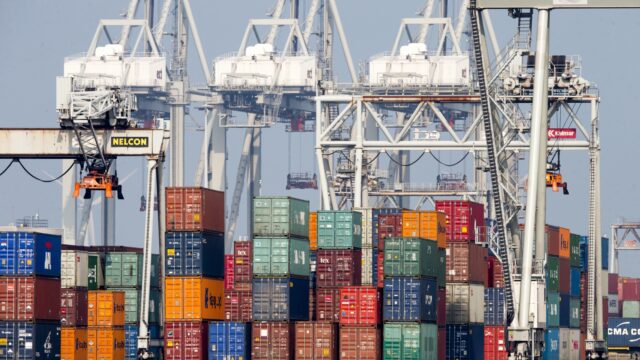 'Ons geloof in efficiëntie is bijna sektarisch'