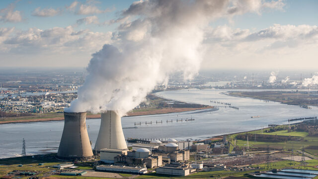 Vis in de Westerschelde zit vol Pfas