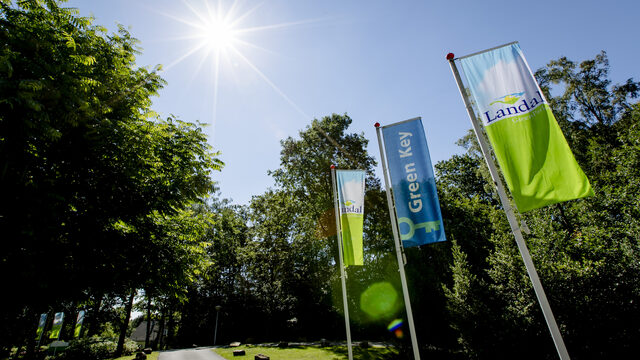 Landal Greenparks-directeur maakt andere werkkeuzes sinds ziekte: 'Wat ik nu doe, heb je geen kanker voor nodig!'