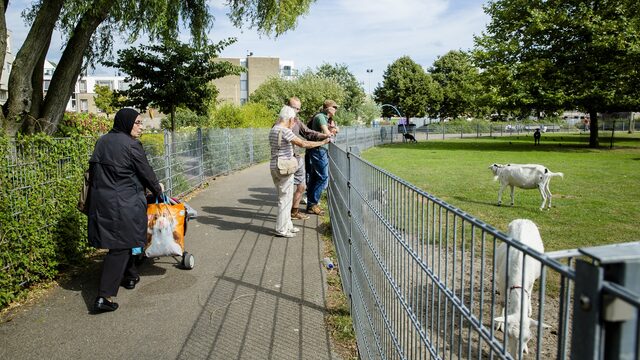 'Woorden kunnen pijn doen maar ook iets moois oproepen'