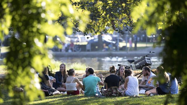 Van versteende vlakte naar plantenparadijs: zo keert de natuur terug in steden en woonwijken
