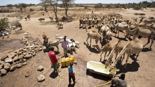 Stand.nl: 'Er moet veel meer geld naar de Hoorn van Afrika'