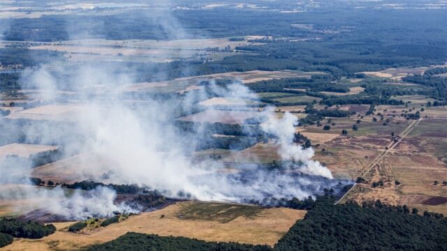 Voorlichting over natuurbranden in het Drents-Friese Wold: 'Daar moeten we denk ik nog een inhaalslag op maken'