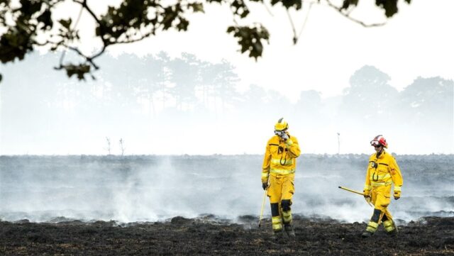 Het Drents-Friese Wold bereidt zich voor op natuurbranden