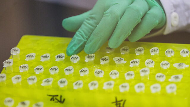 Samenwerking Nederland en China in gevoelig dna-onderzoek is 'fundamenteel fout'