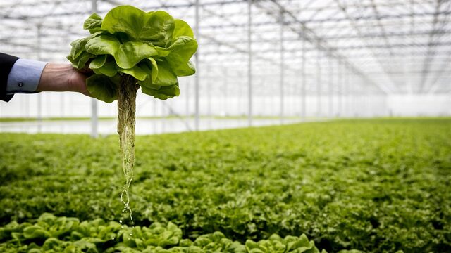 Is geo-engineering de oplossing voor het klimaatprobleem?