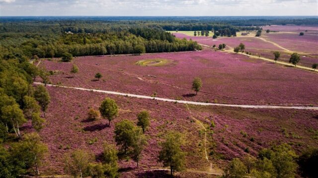 Epe moet 52 noodopvangplekken voor statushouders creëren. En dat roept weerstand op