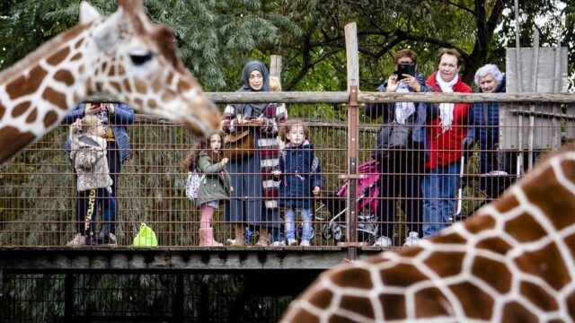 Stand.nl: 'Traditionele dierentuinen zijn niet meer van deze tijd'