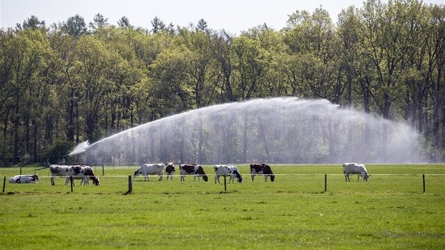 Stand.nl: 'We onderschatten het droogteprobleem in Nederland'