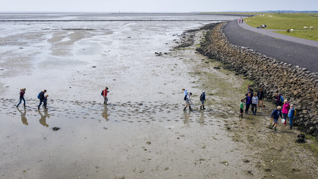 Wadplaten dreigen te verdrinken door zeespiegelstijging