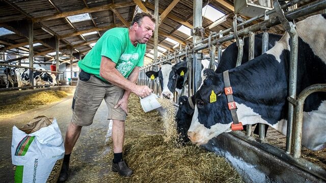 Boeren over onteigeningsprocedures: boeren zit in de genen, daar stop je niet zomaar mee