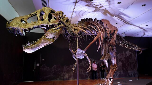 Is dit de reden waarom de T. rex zulke korte armpjes heeft?