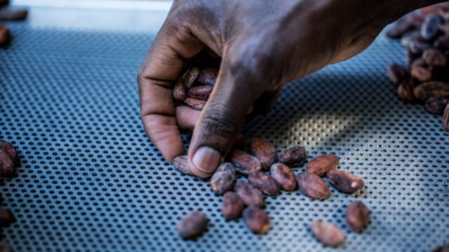 10 miljoen mensen werken in slaafse omstandigheden voor onze consumptie; 'het is de norm'