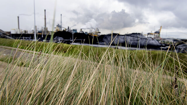 Kwetsbare duinen lijden onder stikstofuitstoot: 'Een flink deel daarvan komt van Tata Steel'