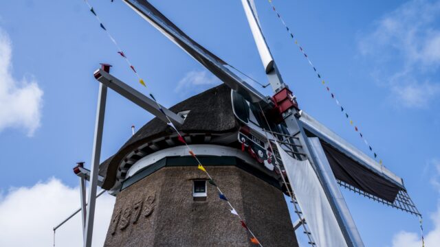 De toekomstige molenaars van Nederland