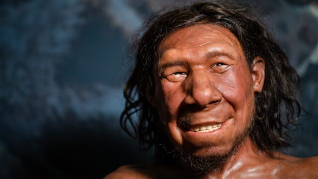 Had neanderthaler altijd knuppel en baard? 'Nee, de vrouwelijke neanderthaler is onderbelicht'