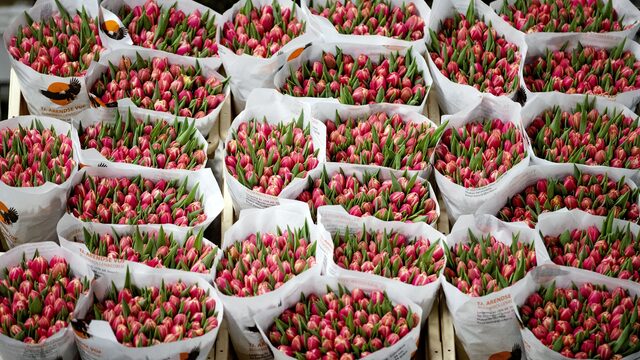 Binnen nu en half jaar grote problemen verwacht bij ondernemers in de glastuinbouw