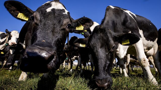 Twee generaties boeren: 'Vermogen zit vooral in het land, maar dat kun je niet opeten'