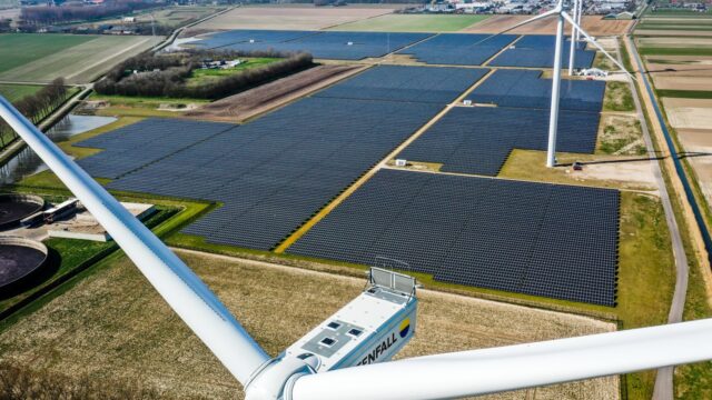 Energietransitie of natuurbehoud? 'Vogel kan verdwijnen, een windmolen gaat niet dood als je 'm verplaatst'